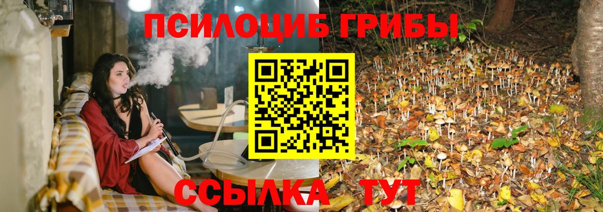 Сокол  купить   Вход с VPN  Галлюциногенные грибы ЛСД 
